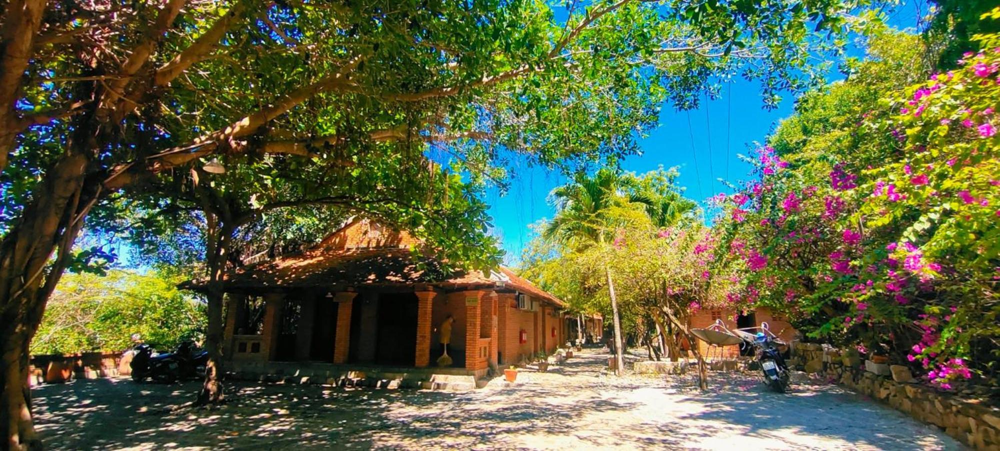 Wild Beach Boutique Resort Ниньфуок Экстерьер фото