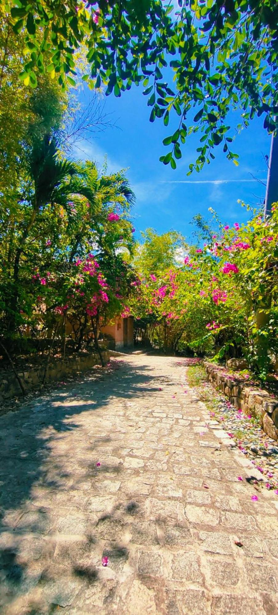 Wild Beach Boutique Resort Ниньфуок Экстерьер фото