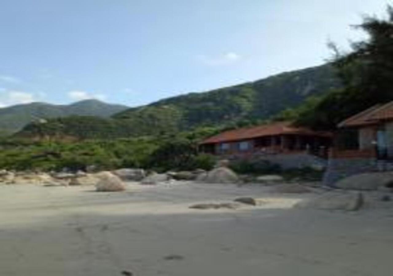 Wild Beach Boutique Resort Ниньфуок Экстерьер фото
